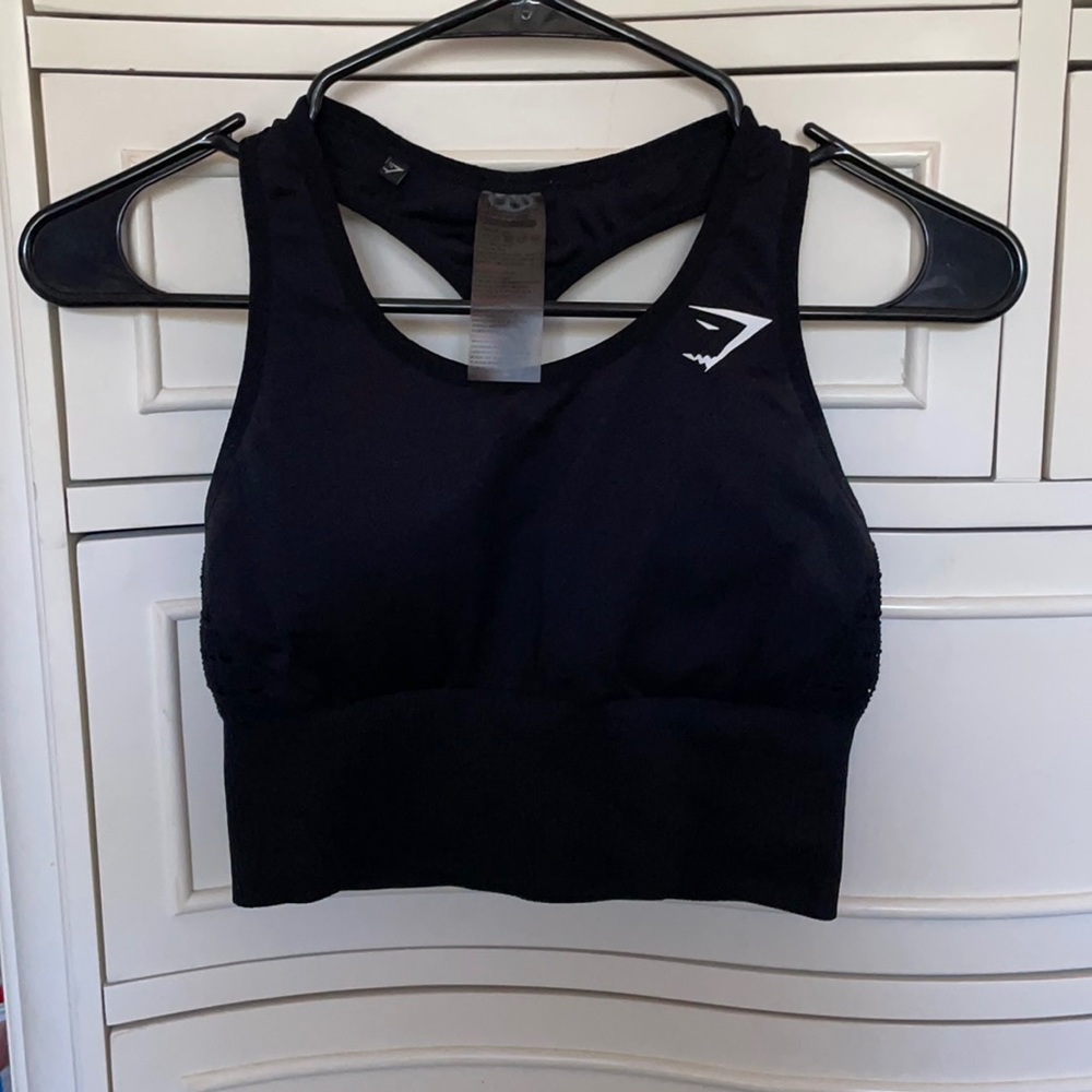 Gym shark workout too